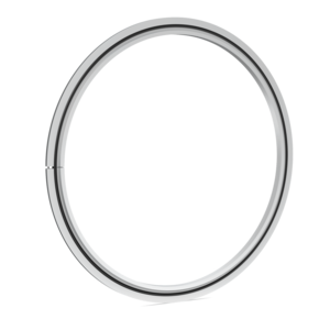 Trapped O-Ring - St St Nitrile ISO250